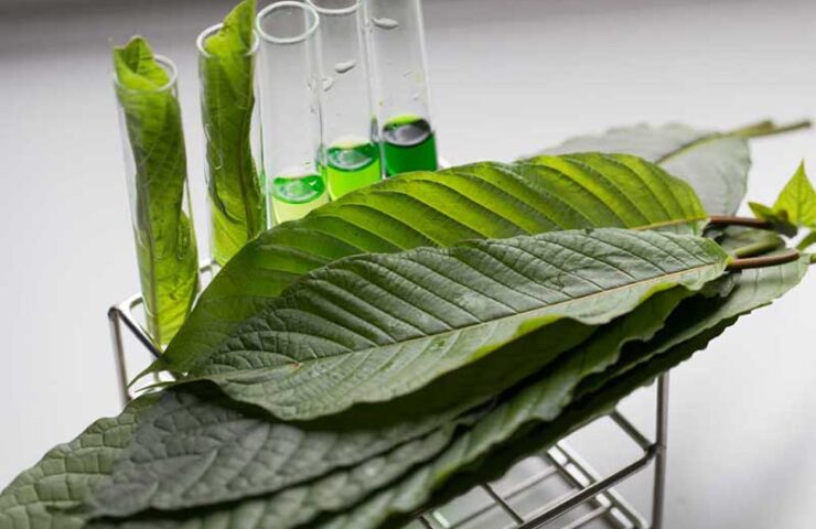 DRIP Botanical Tea Bar Alkaloids and Kratom