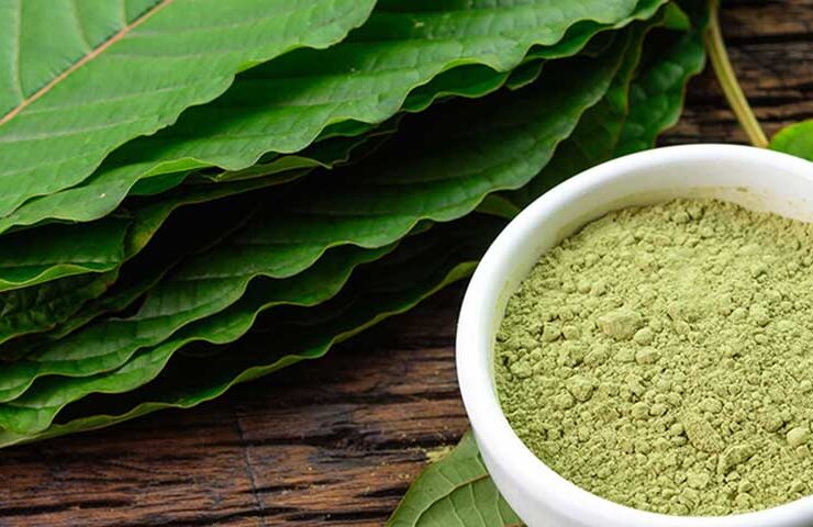 DRIP Botanical Tea Bar Reducing Kratom Tolerance