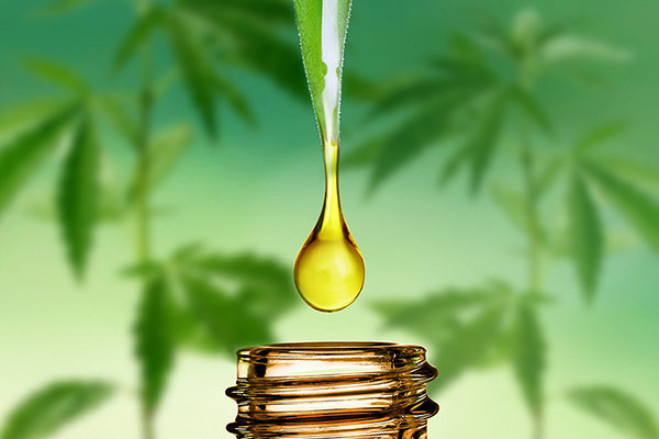 drip-cbd-oil DRIP CBD Oil Tincture