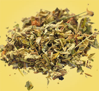 Damiana