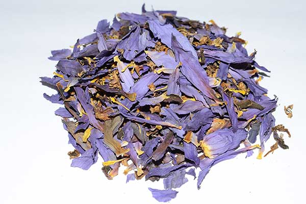 drip-botanical-tea-bar-blue-lotus-flowers DRIP Botanical Tea Bar Blue Lotus Flowers