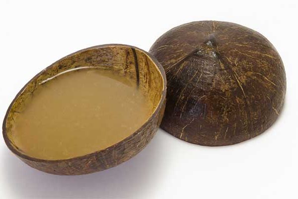 drip-botanical-tea-bar-kava-tea-coconut DRIP Tampa Botanical Tea Bar - Kava