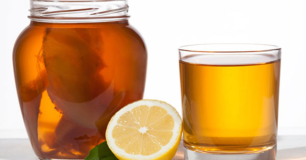 drip-botanical-tea-bar-kombucha-teas-lemon DRIP Botanical Tea Bar - Kombucha Tea