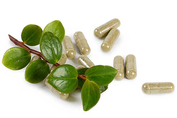 drip-botanical-tea-bar-rhodiola-capsules Rhodiola Tea available at DRIP Botanical Tea Bar