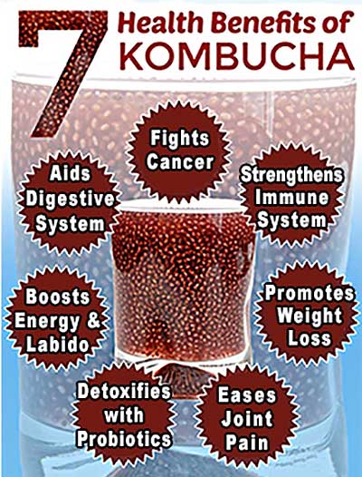 drip-7-benefits-of-kombucha DRIP Botanical Tea Bar - 7 Benefits of Kombucha